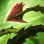 Zyra ability Grasping Roots should be leveled second.