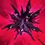 Naafiri ability The Call of the Pack should be leveled third.